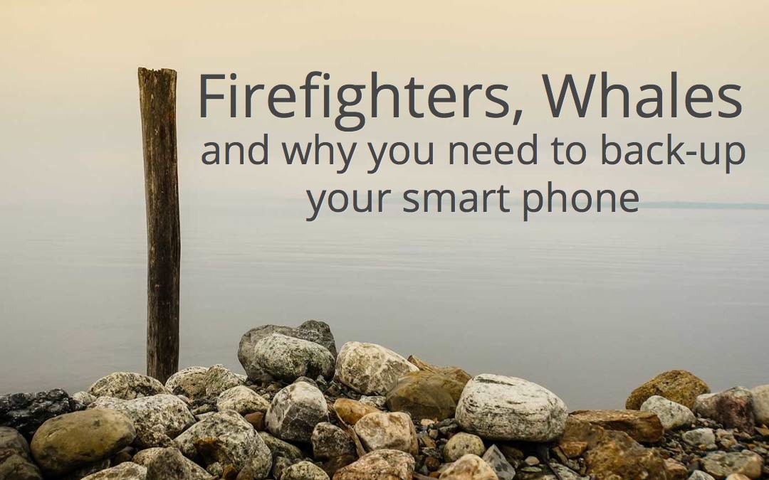 Firefighters, Whales and why you need to back-up your smart phone